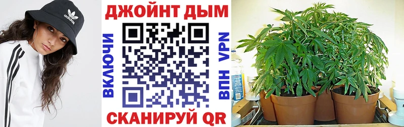  COCAIN Суворов