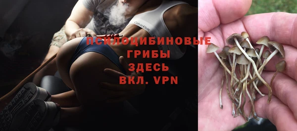 прущая мука Медвежьегорск