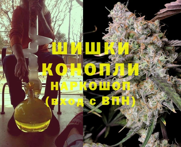 соль ск Медногорск
