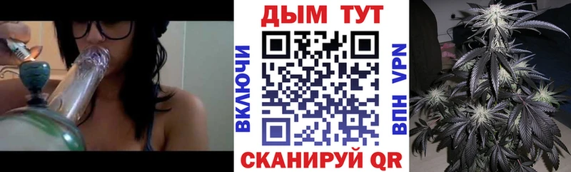 где найти наркотики  Суворов  Бошки Шишки конопля 